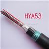 HYA53通信電(diàn)纜HYA53通信電(diàn)纜20*2*0.5